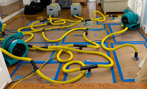 Professional Structural Drying And Dehumidification technician working in Dawson, TX
